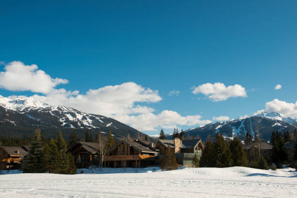 istock Ski resort and forest in winter 2161203741