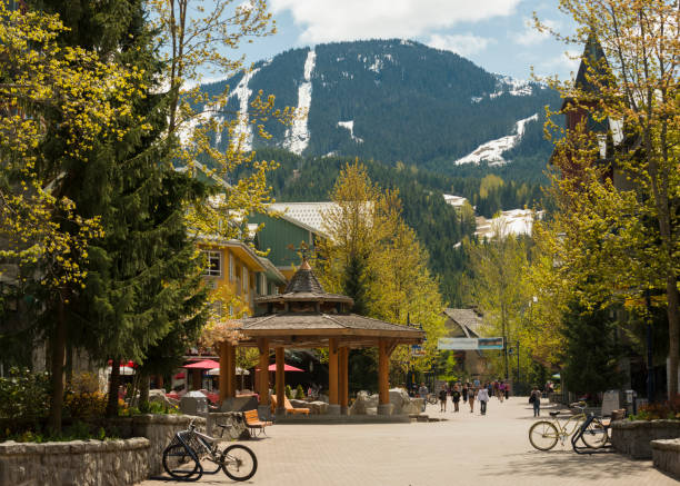 istock Ski resort and forest in summer 2161203757