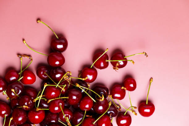 istock Sweet red cherries isolated with water drops. Black cherry, copy space 2161215017