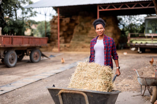 Female woman farmer doing daily job at farm