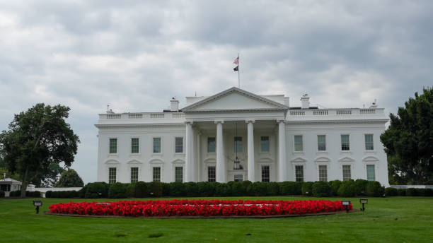 istock The White house, Washington D.C, US 2161219744