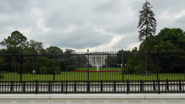istock The White house, Washington D.C, US 2161219746