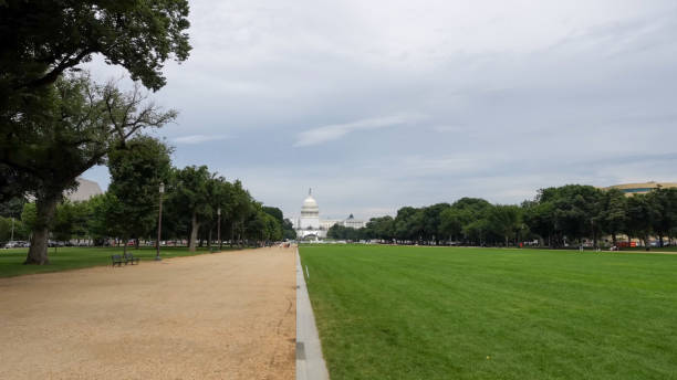 istock The White house, Washington D.C, US 2161219783