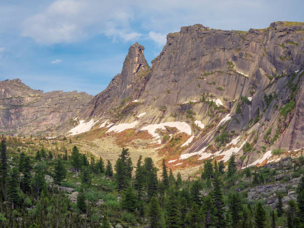 istock Coniferous forest at the foot of high cliffs. 2161220828