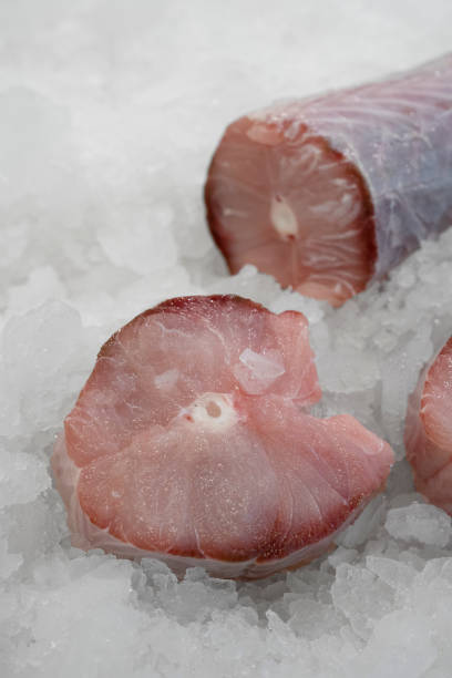 istock Patagonian tuna fish on ice 2161220992