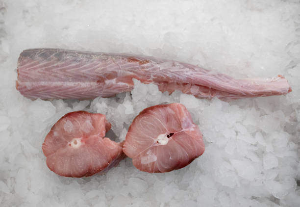 istock Patagonian tuna fish on ice 2161221009