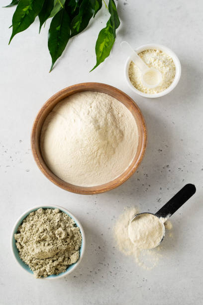 istock Different powder protein with scoop in plates 2161225083