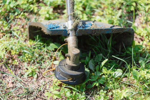 istock Close up of trimmer head with line 2161227421
