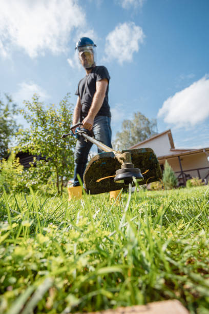 istock Man wearing protective mask mows lawn on sunny day in backyard 2161227437