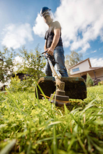 istock Man wearing protective mask mows lawn on sunny day in backyard 2161227452