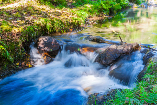 White water tumbling over rocky drop in stream in McLaren Falls Park Tauranga,