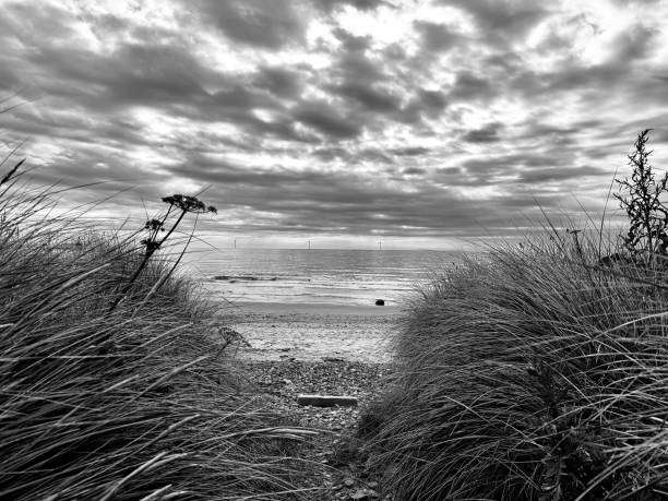 istock Dramatic cloudscape over the beach at Blyth in Northumberland 2161228335
