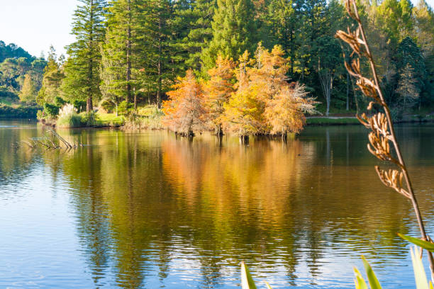 istock Autumn colours at McLaren Falls Park 2161229218
