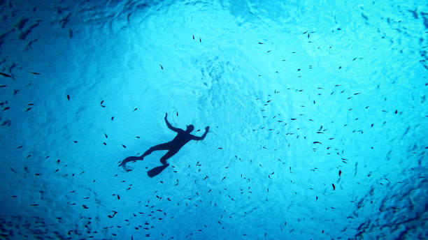 istock Underwater Explorer Amidst Shoal of Fish 2161231494