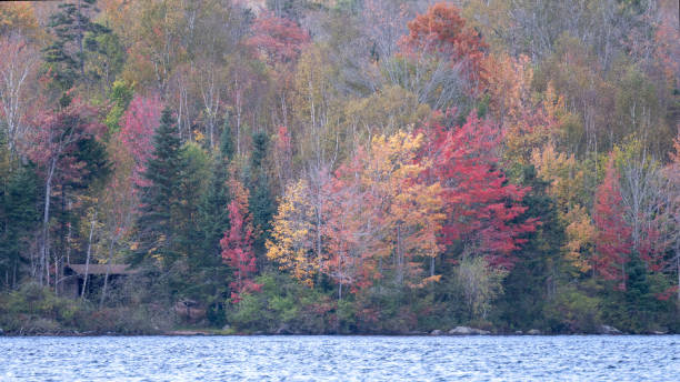 istock Peacham Pond Foliage 2161232356
