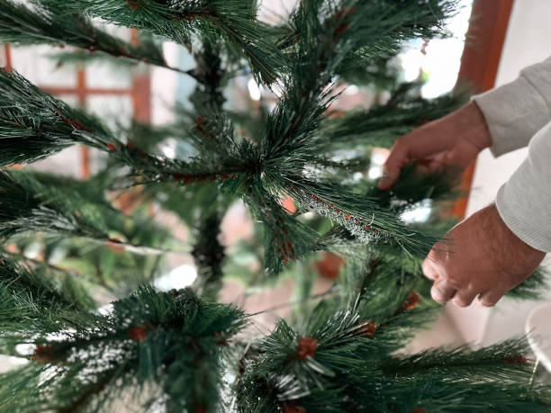 istock Man’s hands placing the branches of the Christmas Tree 2161232789