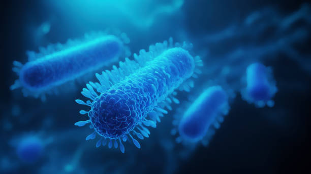 istock Bacteria medical illustration 2161238112