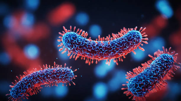 istock Bacteria medical illustration 2161238139