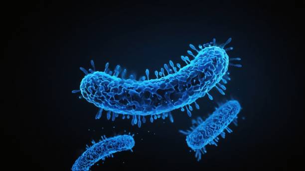 istock Bacteria medical illustration 2161238154