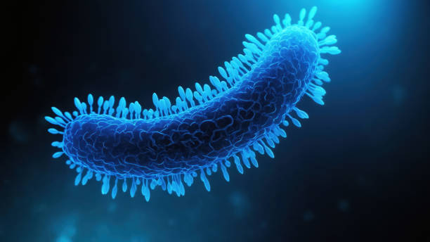 istock Bacteria medical illustration 2161238265