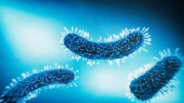 istock Bacteria medical illustration 2161238304