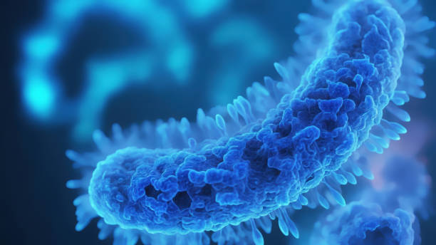 istock Bacteria medical illustration 2161238835