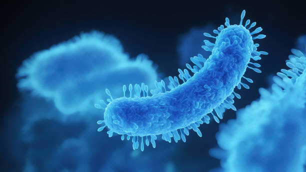 istock Bacteria medical illustration 2161238851