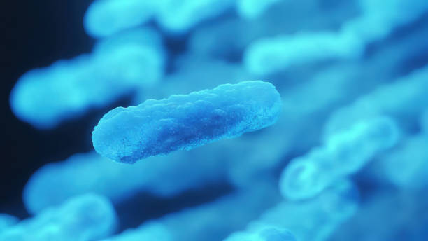 istock Bacteria medical illustration 2161238865