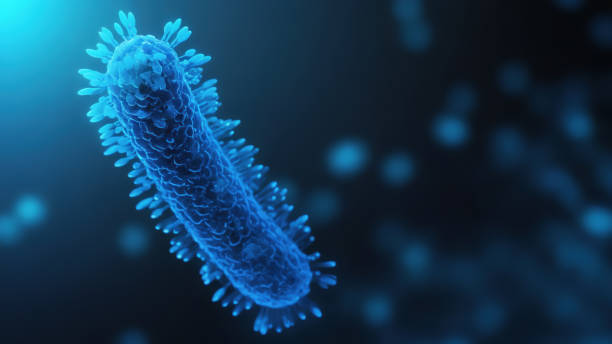 istock Bacteria medical illustration 2161238884