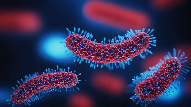 istock Bacteria medical illustration 2161238893