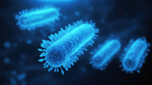 istock Bacteria medical illustration 2161238914