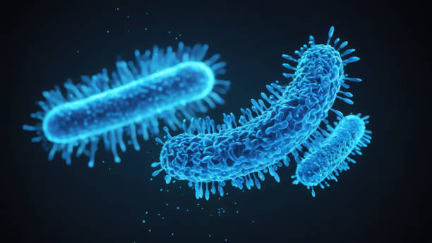 istock Bacteria medical illustration 2161238934