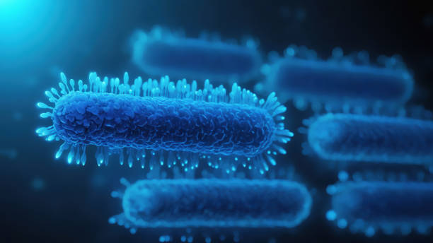istock Bacteria medical illustration 2161238971