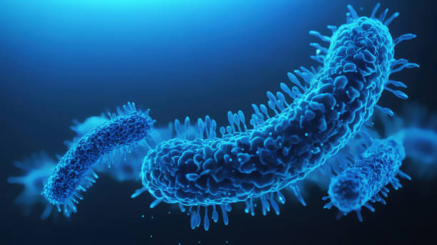 istock Bacteria medical illustration 2161239007