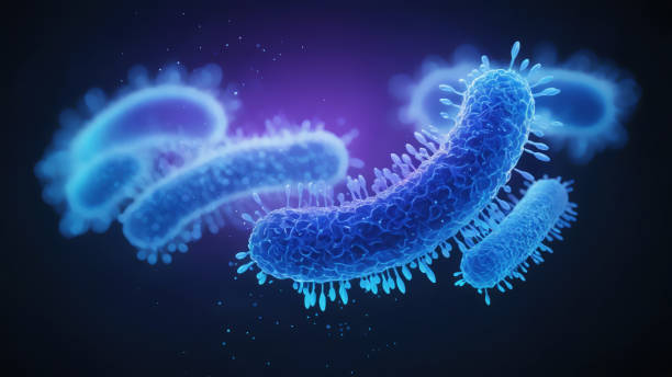 istock Bacteria medical illustration 2161239016