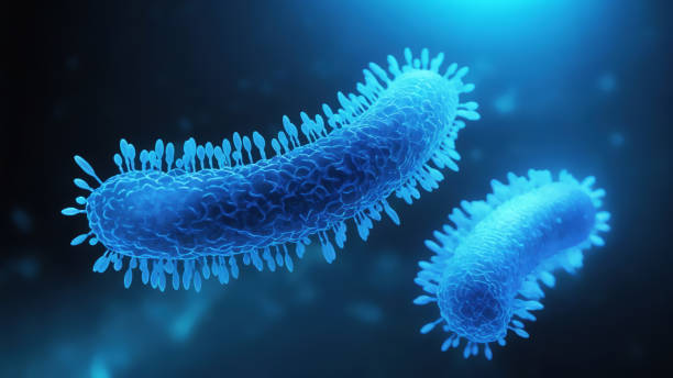 istock Bacteria medical illustration 2161239028
