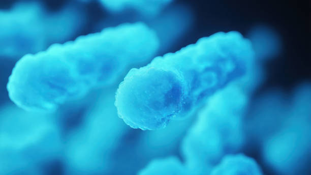 istock Bacteria medical illustration 2161239038