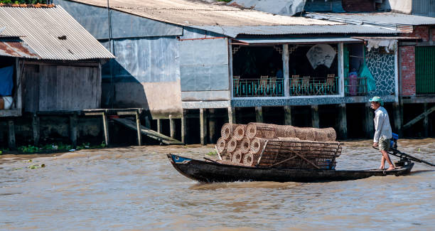 Cai Rang, Can Tho, Vietnam - nov 19,2013: a man transports chicken stalls to the Cai Rang floating market on the Mekong delta