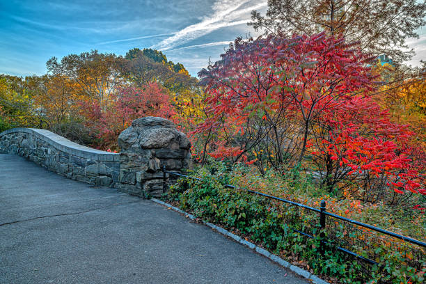 istock Gapstow Bridge in Central Park, late autumn 2161250644