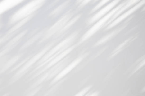 istock Abstract natural tree leaves shadow on white wall background 2161251560