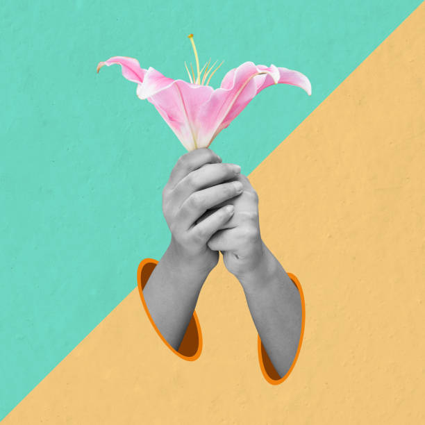 istock A human hand holding a pink rose flower 2161258405
