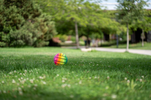 istock Colorful Ball on Green Grass 2161258611