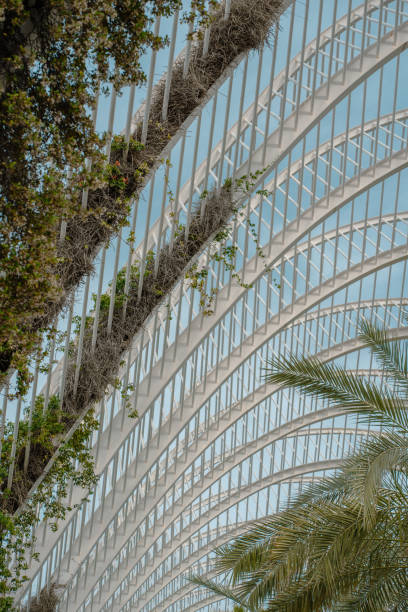 istock Greenery on Metal Lattice Arches 2161258650