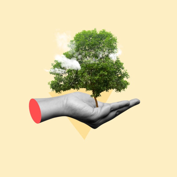 A human hand showing a green tree