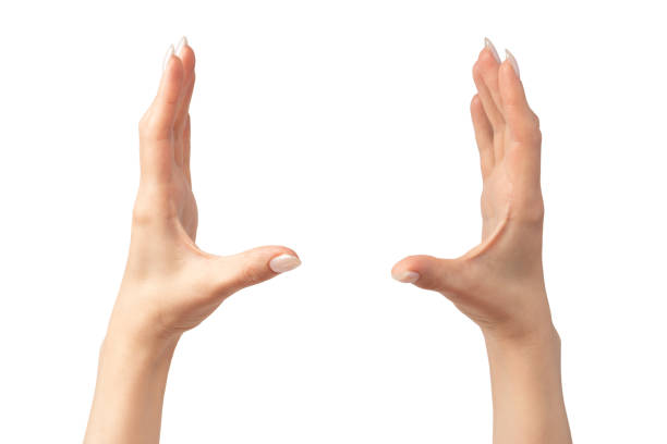 istock Woman hands  isolated on a white background. 2161260537