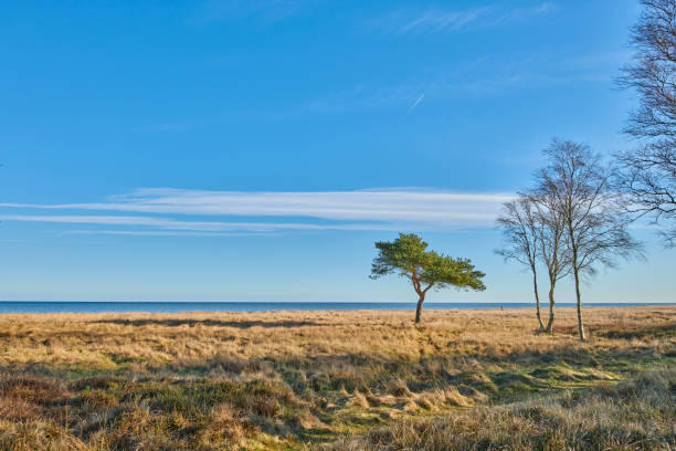 Autumn photos in Denmark