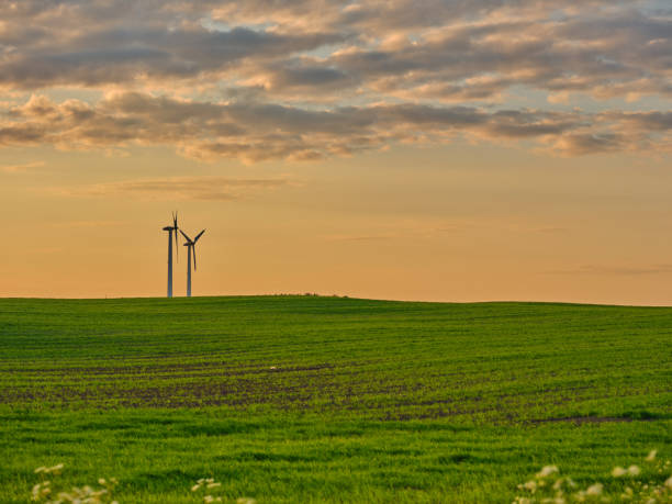 Wind Turbines Windmill Energy Farm. Green ecological power energy generation. Alternative energy plant. Windmill in a rural area during sunset.  Denmark.