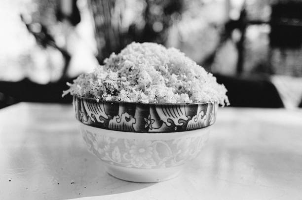 coconut meat
