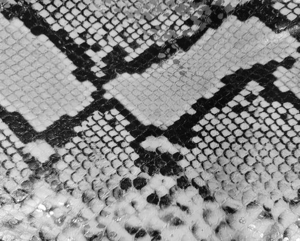 istock Monochrome fabric texture_black and white (7).jpg 2161273028