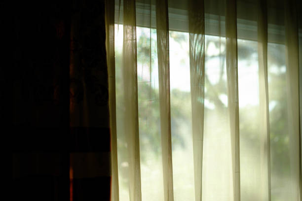 Curtains in a room that lets in sunlight